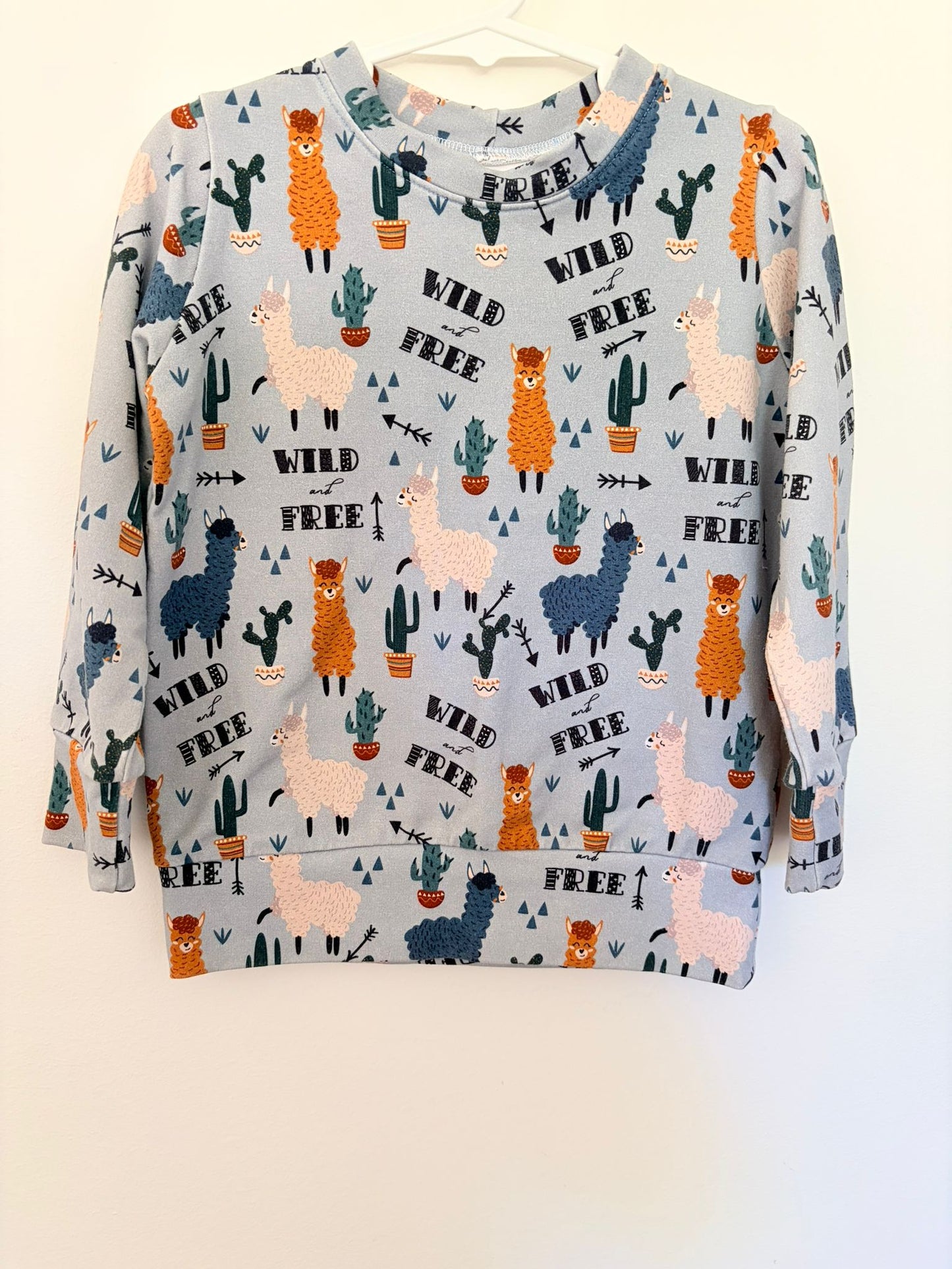 Size 4 XANDER Rae wild and free llama jumper.