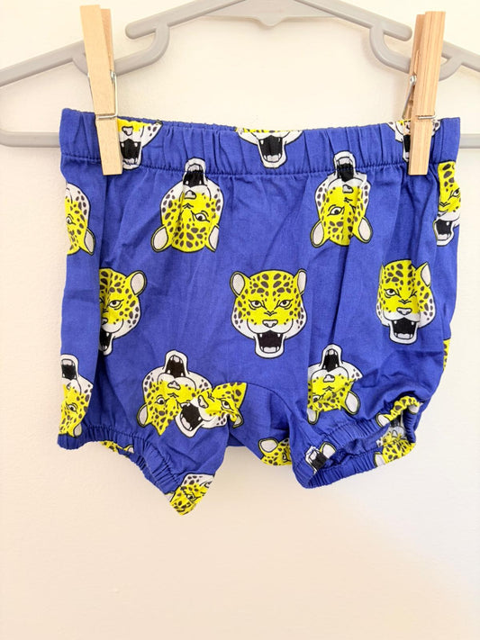 000 Peter Alexander leopard print shorts.