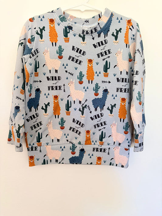 Size 4 XANDER Rae wild and free llama jumper.
